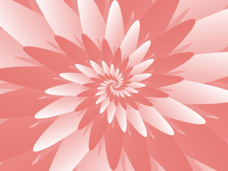 PINK FLOWER PATTERN SPIRAL