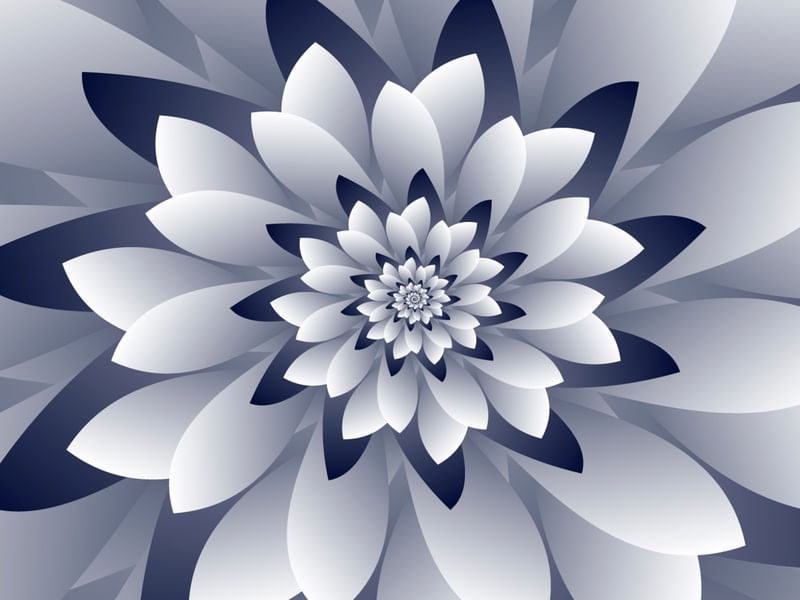 WHITE FLORAL