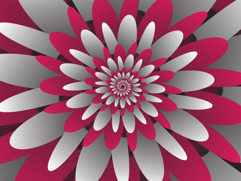 PAPER CUT FLOWER SPIRAL
