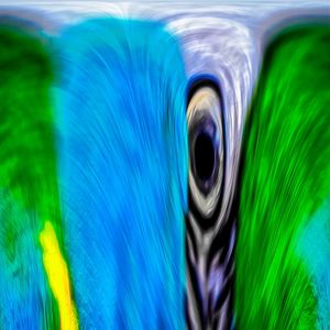 ABSTRARARA_1