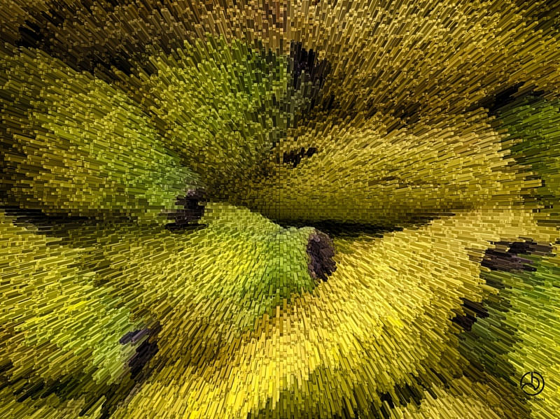 CACHOS DE BANANA
