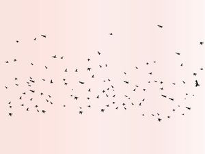 CÉU ROSADO