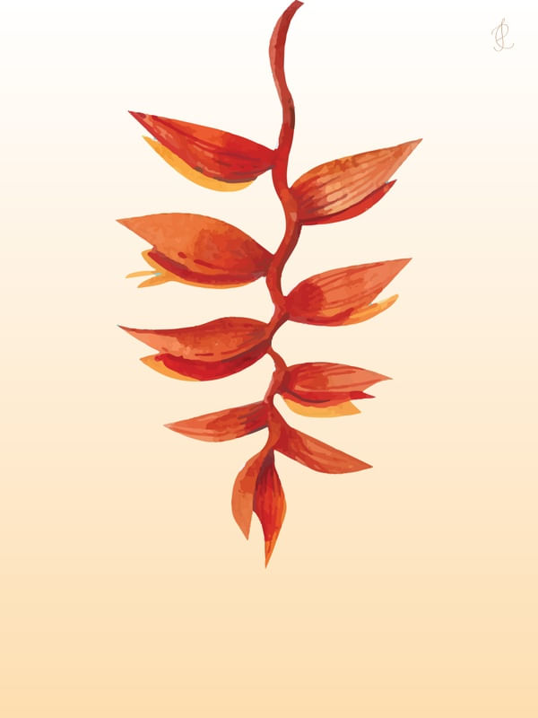 PLANTA TROPICAL 2