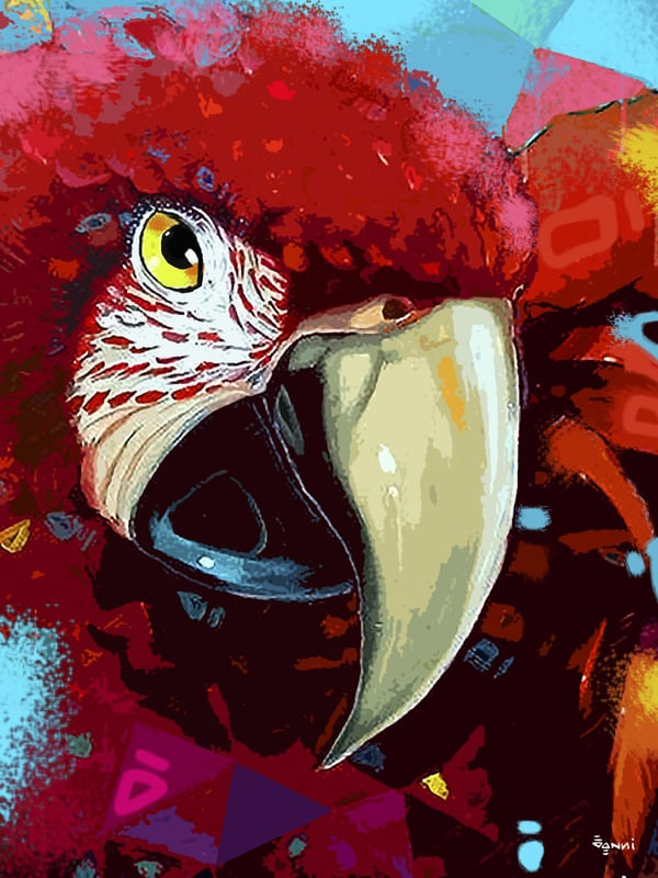 ARARA VERMELHA DE PERTO
