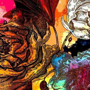 RELEITURA FLOWER VOL. I