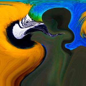 ABSTRARARA_3