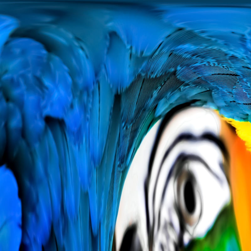 ABSTRARARA 2