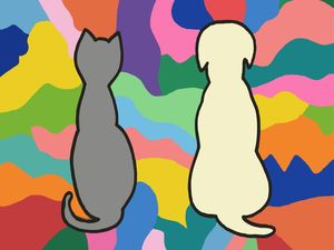 CAT DOG I ES
