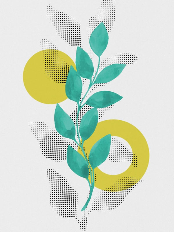 PLANTS DESIGN