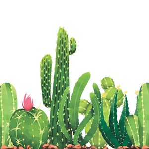 DESERT CACTUS PARTE 1 DE 2