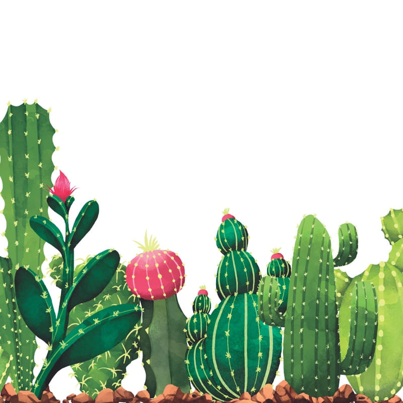 DESERT CACTUS PARTE 2 DE 2