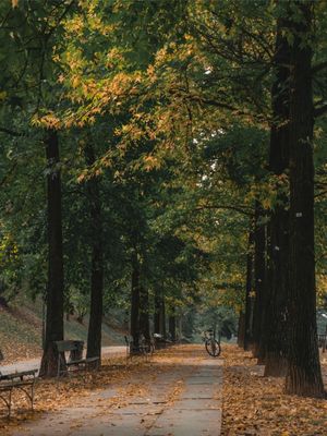 OUTONO EM TORINO