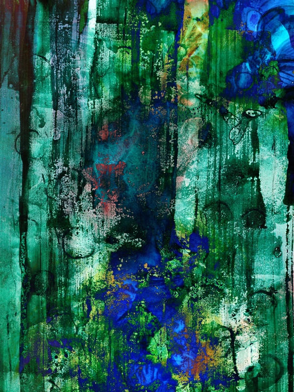 RAIO X ECOLÓGICO VI