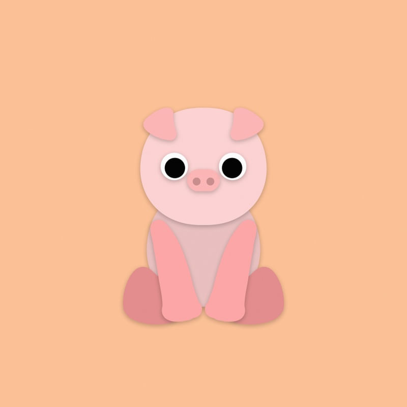 CUTE PIG