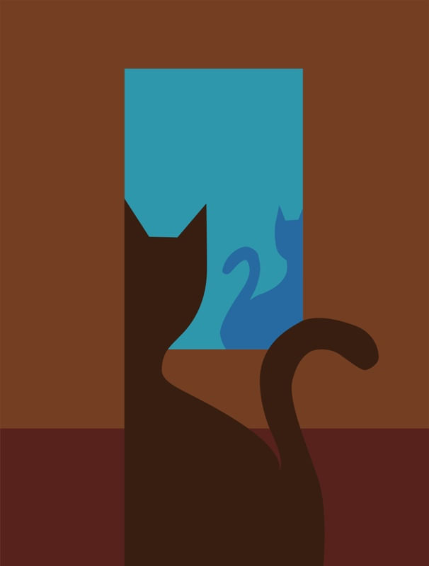 JANELA DO GATO