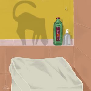 LÁ FORA, O GATO