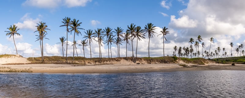 PANORÂMICA MAXARANGUAPE