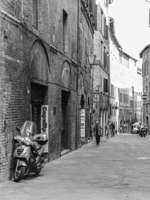 SIENA STREET