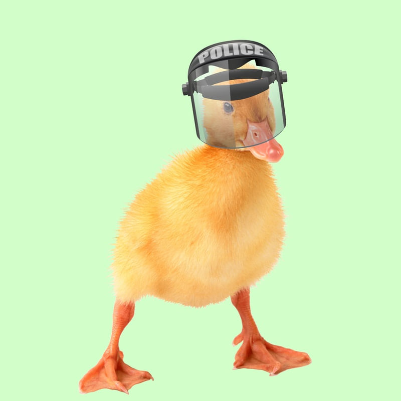 PATINHO POLICIAL