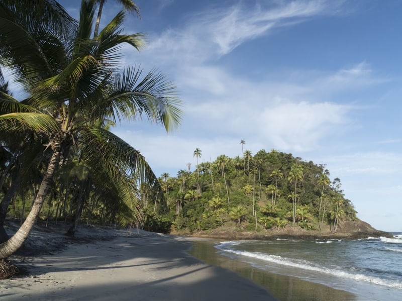PRAINHA ITACARÉ