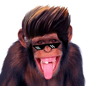 MACACO ESTILOSO