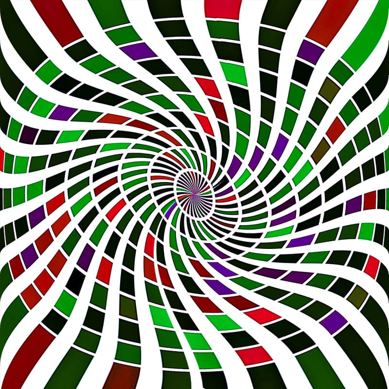 CARACOL DE CORES