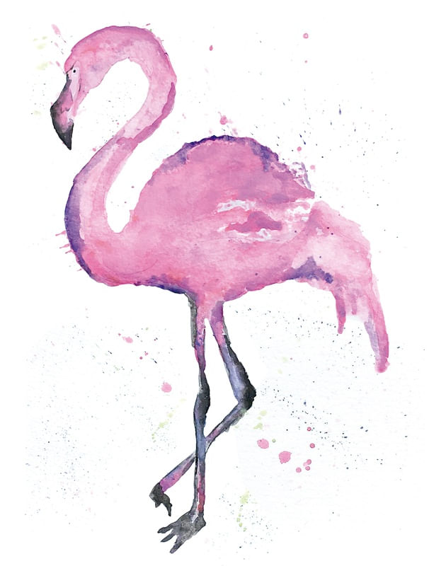 FLAMINGO WATERCOLOR