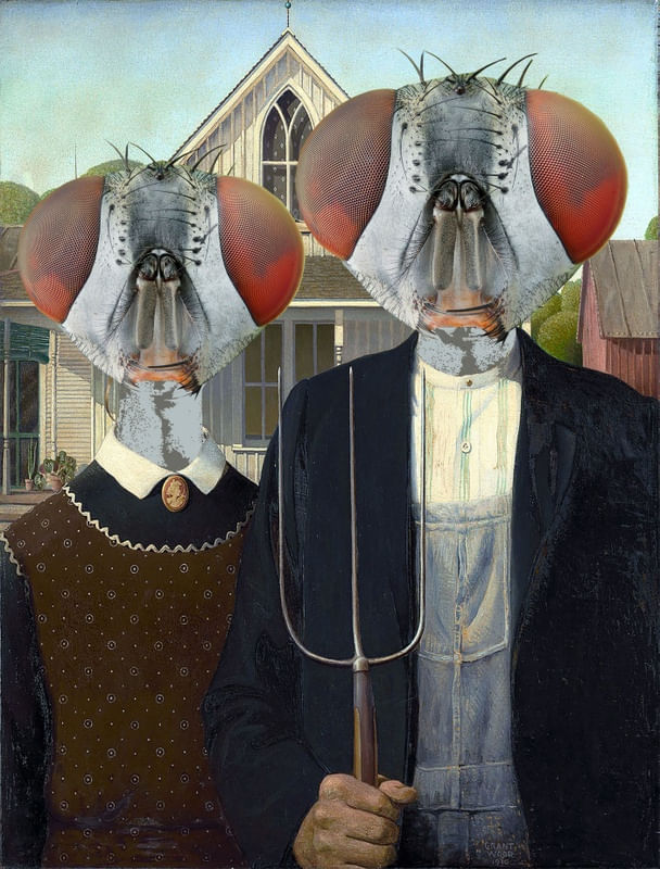 AMERICAN GOTHIC