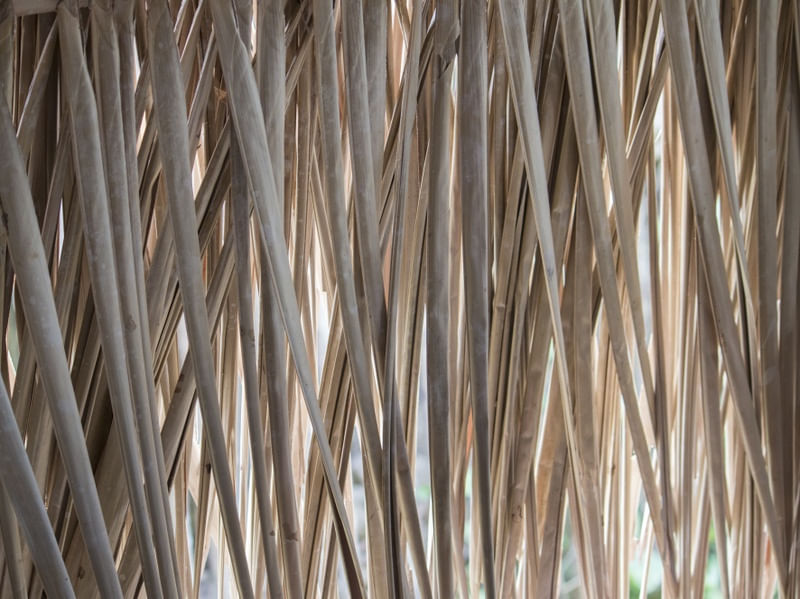 PALHA - TEXTURA