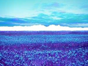 LOST HORIZON 25B