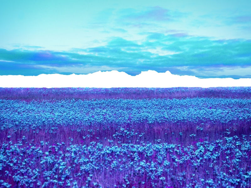LOST HORIZON 25B