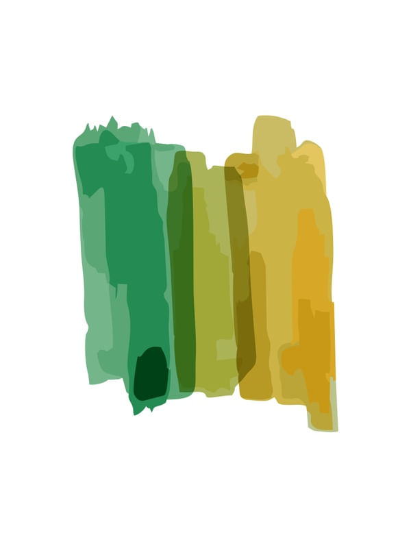 PINTURA 15 - DV