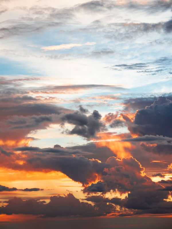HEAVENS WE DON'T RESERVE II