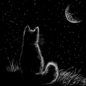 THE CAT AND THE MOON SQUARE