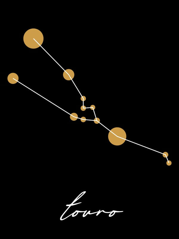 ZODÍACO TOURO - DV