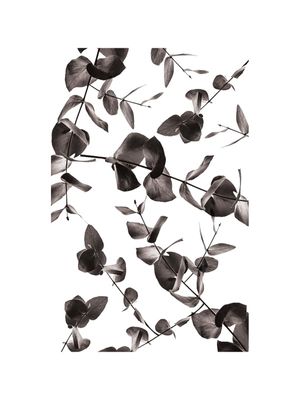 FOLHAGENS II