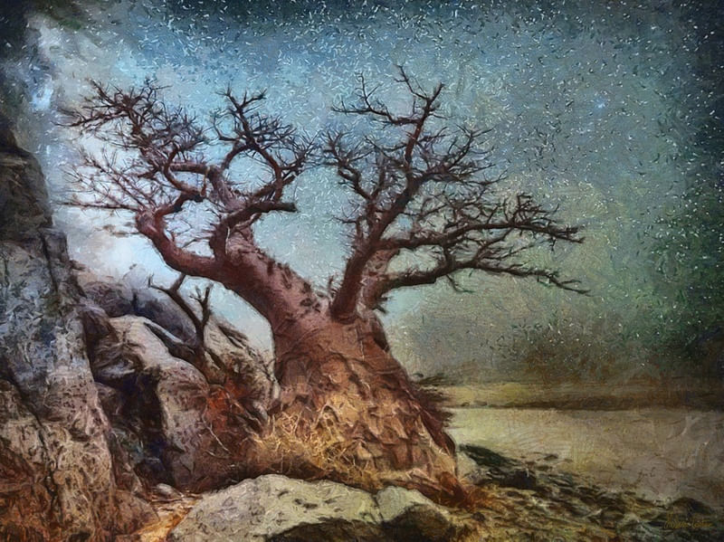 HC0431