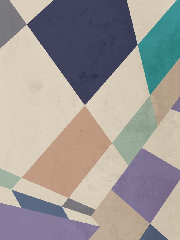 GEOMETRIC ILLUSION 083