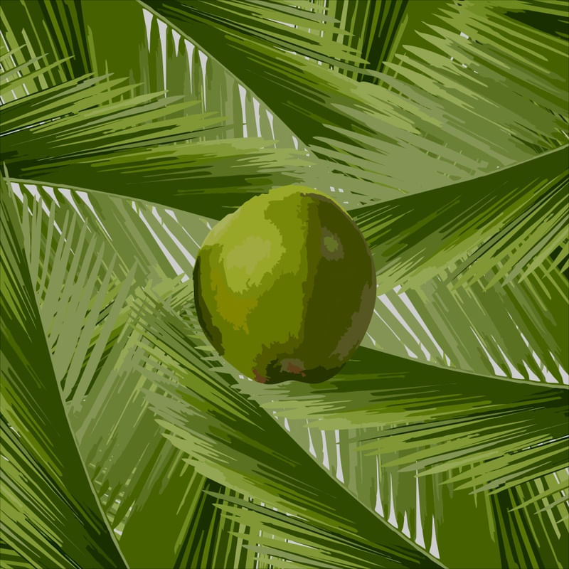 COCO - DV