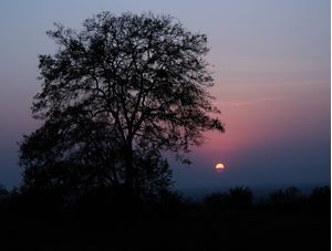 POR DO SOL NO INTERIOR