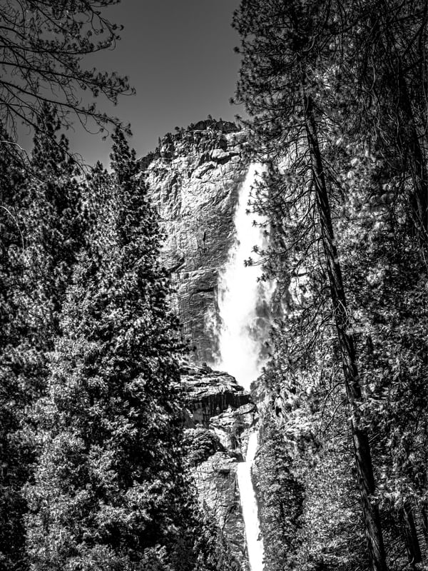 SILENT WHITE ON THE ROCKS #5