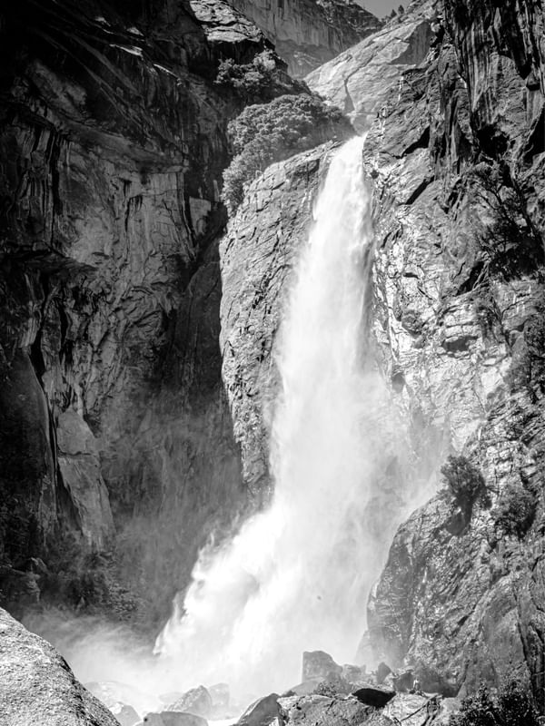 SILENT WHITE ON THE ROCKS #6