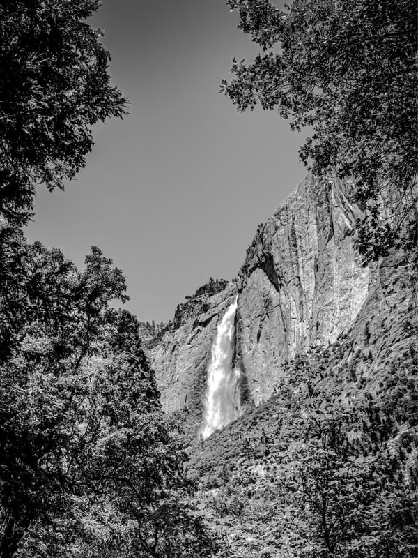 SILENT WHITE ON THE ROCKS #4