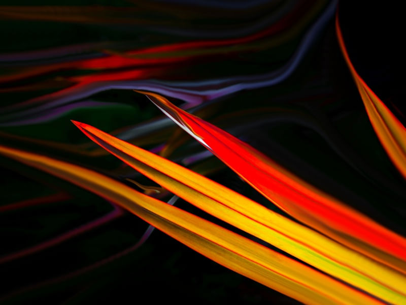DIPTICO COLORFULL A