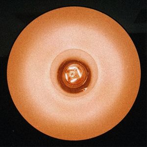 O FOCO DA LUZ