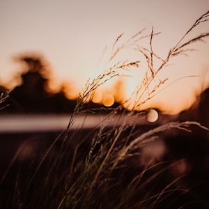 LUZES NA ESTRADA