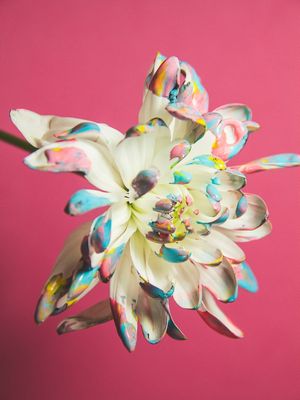 POPART FLOWERS IX