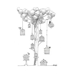 AS ARAUCÁRIAS - LIBERDADE