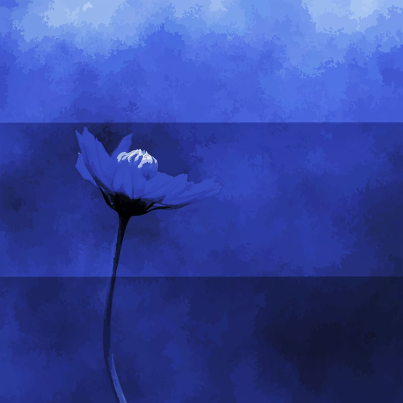 CLASSIC BLUE I ES