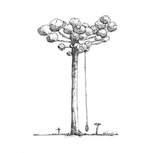 AS ARAUCÁRIAS - A BALANÇA